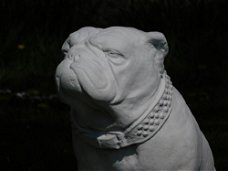 Beeld Bulldog XL  , vol steen , hond 