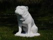 Beeld Bulldog XL , vol steen , hond - 1 - Thumbnail
