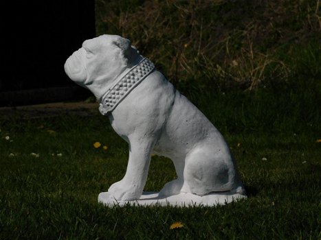Beeld Bulldog XL , vol steen , hond - 2