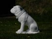 Beeld Bulldog XL , vol steen , hond - 2 - Thumbnail