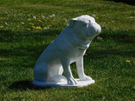 Beeld Bulldog XL , vol steen , hond - 3
