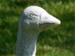 Beeld Gans , vol steen , gans , tuinbeeld - 2 - Thumbnail