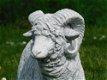 Beeld Ram XL , vol steen , tuinbeeld , schaap - 1 - Thumbnail