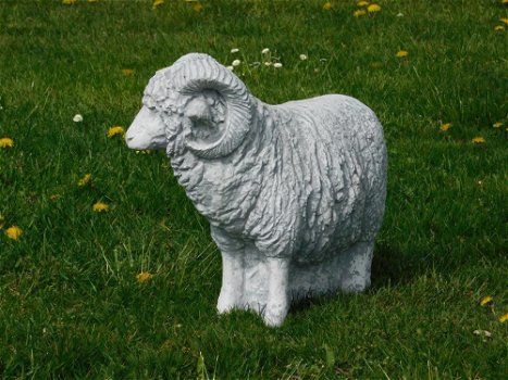 Beeld Ram XL , vol steen , tuinbeeld , schaap - 2