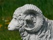 Beeld Ram XL , vol steen , tuinbeeld , schaap - 3 - Thumbnail