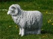 Beeld Ram XL , vol steen , tuinbeeld , schaap - 4 - Thumbnail