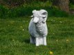 Beeld Ram XL , vol steen , tuinbeeld , schaap - 5 - Thumbnail