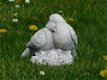 Beeld vogeltjes met nestje , vol steen lief , vogel , tuinbeeld - 2 - Thumbnail