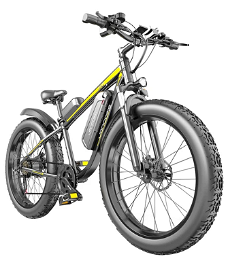JANOBIKE E26 Electric Bicycle 48V 1000W Motor 16Ah Battery 