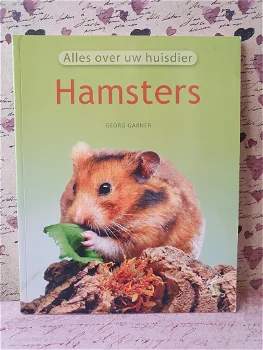 Hamsters - 0
