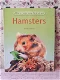 Hamsters - 0 - Thumbnail