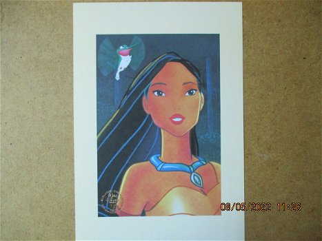 adv6456 Pocahontas lithos - 2