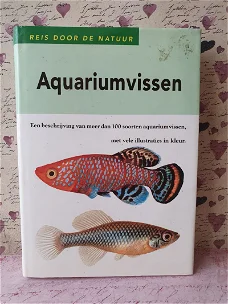 Aquariumvissen