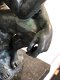 kado , de denker , brons , by RODIN, beeld - 5 - Thumbnail