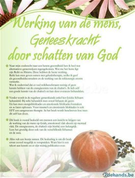 eboek Werking van de mens, Geneeskracht door schatten van God - 1