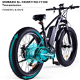 Niubility B26 Electric Bicycle 48V 12.5Ah Battery 1000W - 5 - Thumbnail