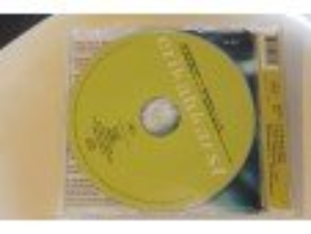 211o - cd single - erika karst - psychotic neurotic - 4 nrs - Afbeelding 2