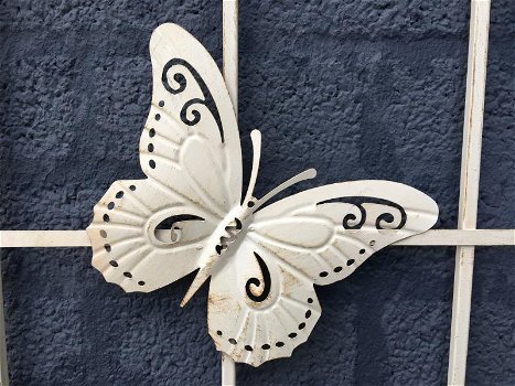 muurdecoratie , raamdecoratie , vlinder wit - 4