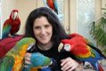 Macaws, African Grey, Amazon, Cockatoo en andere exotische vogels - 0 - Thumbnail