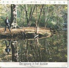 Peter Koelewijn – De Sprong In Het Duister (1984)