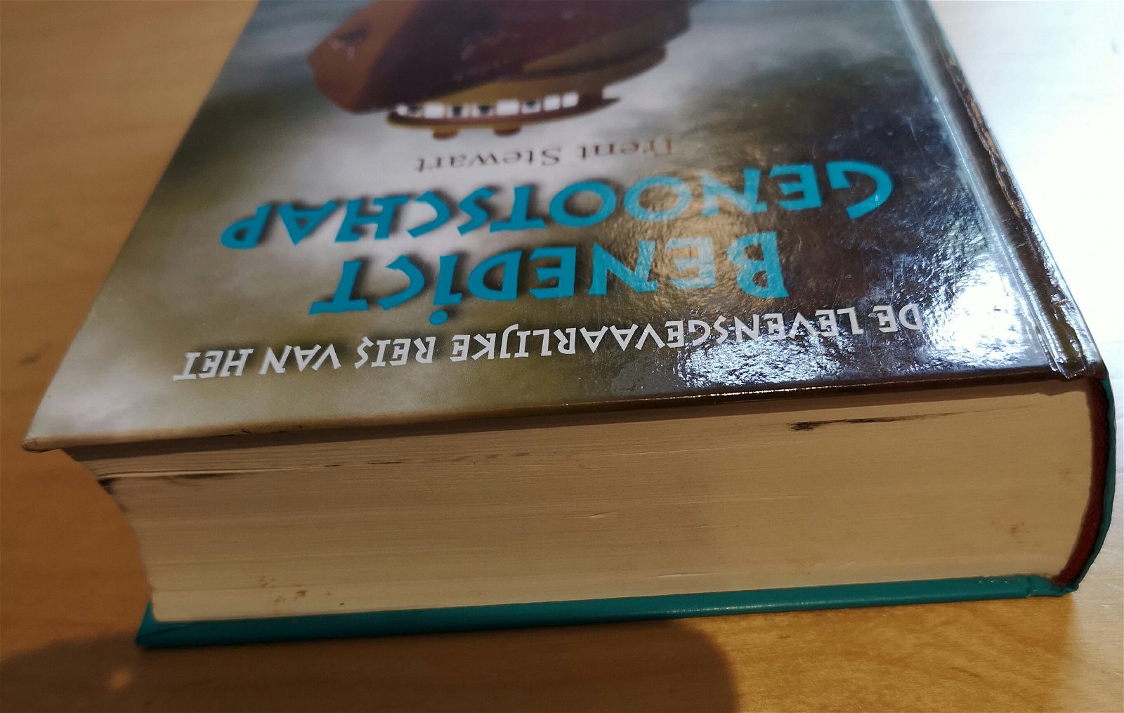 DE LEVENSGEVAARLIJKE REIS VAN HET BENEDICT GENOOTSCHAP - Trent Stewart - Afbeelding 2