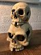kaarsenhouder , kandelaar , schedel , dooskop - 0 - Thumbnail