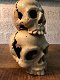 kaarsenhouder , kandelaar , schedel , dooskop - 2 - Thumbnail