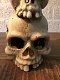 kaarsenhouder , kandelaar , schedel , dooskop - 5 - Thumbnail