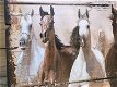 muurdecoratie paarden , paarden plaat / bord , kado - 1 - Thumbnail