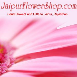 Send Rakhi to Jaipur for your loved ones and Get Same Day Delivery at a very Cheap Price - 0