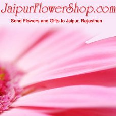 Send Rakhi to Jaipur for your loved ones and Get Same Day Delivery at a very Cheap Price