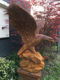 vliegende adelaar , tuinbeeld , adelaar uitgestrekte vleugels - 0 - Thumbnail