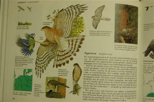 Vogels van West en Midden-Europa - 2