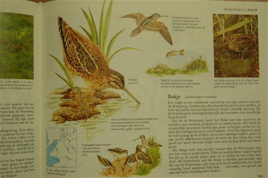 Vogels van West en Midden-Europa - 5