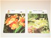 Plantenprenten Kaarten - Het Spectrum - 0 - Thumbnail