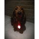 LED lampje voor om halsband hond - 3 - Thumbnail