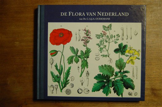 De flora van Nederland - 0