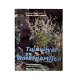 Arend Jan van der Horst – Tuinvijvers En Waterpartijen (Hardcover/Gebonden) Nieuw - 0 - Thumbnail