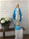 madonna , Heilige Maria - 0 - Thumbnail