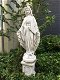 Heilige Madonna , tuinbeeld , Heilige Maria - 1 - Thumbnail