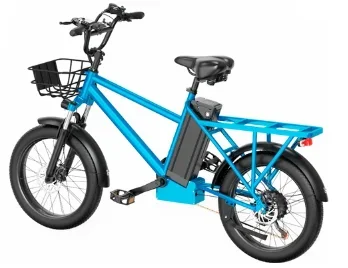 DUOTTS C20 Electric Bike Cargo Bike 48V 15Ah Removable Battery 500W - 0