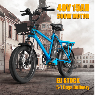 DUOTTS C20 Electric Bike Cargo Bike 48V 15Ah Removable Battery 500W - 2