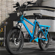 DUOTTS C20 Electric Bike Cargo Bike 48V 15Ah Removable Battery 500W - 6 - Thumbnail