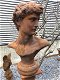 borstbeeld david , tuinbeeld - 1 - Thumbnail