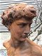 borstbeeld david , tuinbeeld - 4 - Thumbnail