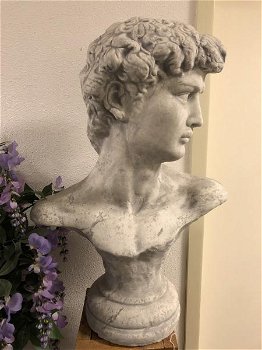 Sculptuur David, massief steen, imponerend ,tuin - 1