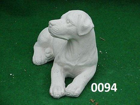 LABRADOR HOND - 1