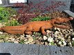 krokodil , tuinbeeld , vijver beeld - 6 - Thumbnail