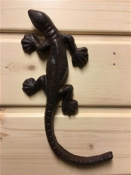 tuinwand decoratie , Salamander - 0