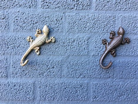 wanddecoratie salamander , muurdecoratie salamander - 3